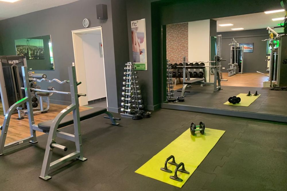 fitplus Deidesheim Freihantelbereich